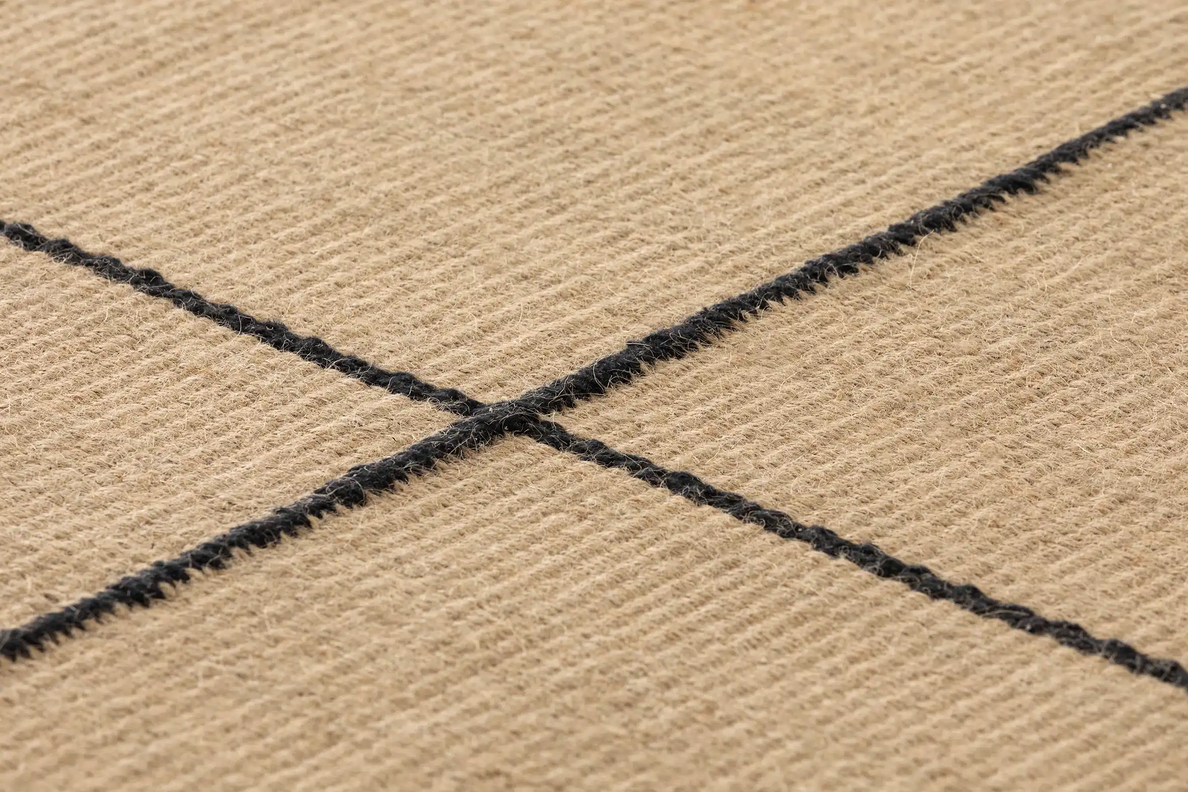 Roots – Image 4